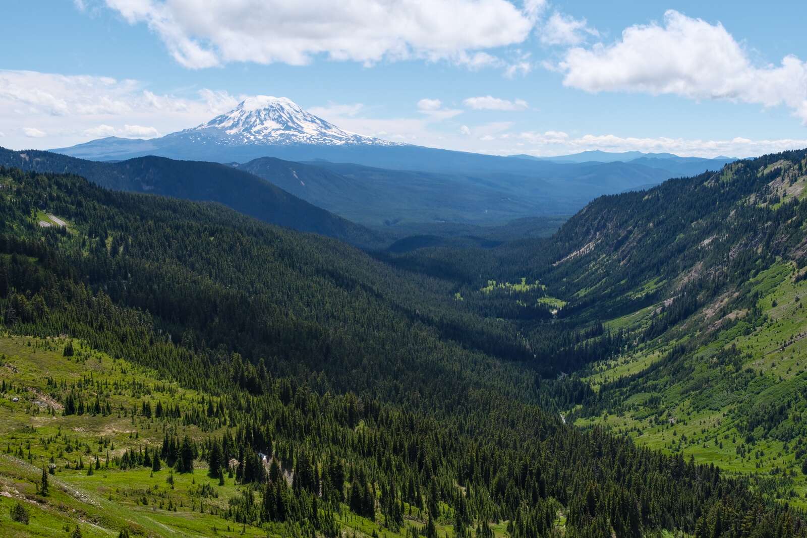 Mount Adams towering over a vibrant green valley