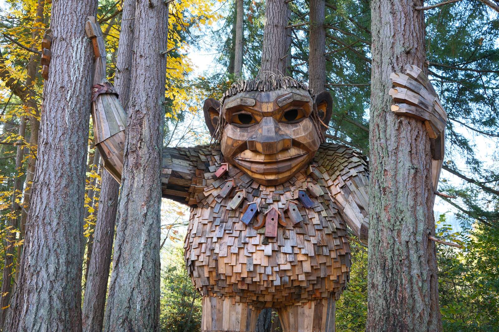 Portrait of a wooden troll standing between two trees